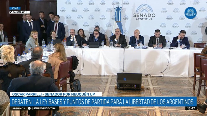 Ley Bases en el Senado: seguí el minuto a minuto del debate en comisión