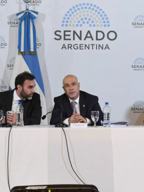 Después de varias idas y vueltas, el Gobierno consiguió emitir dictamen para la Ley de Bases