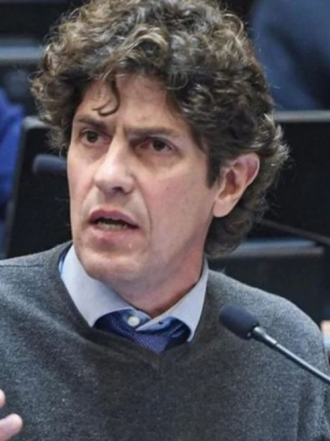 Se reavivó la interna de la UCR por culpa de Lousteau