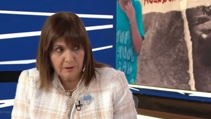 Caso Loan: Bullrich aseguró que revisará la panza de animales