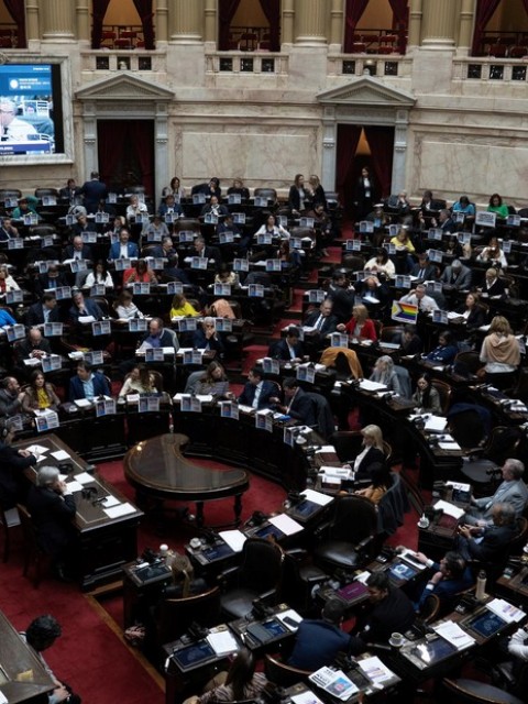 Diputados aprobó la Ley Bases
