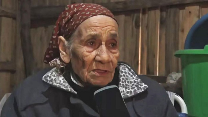 La Justicia confirmó que la abuela de Loan borró 34 llamadas de su celular