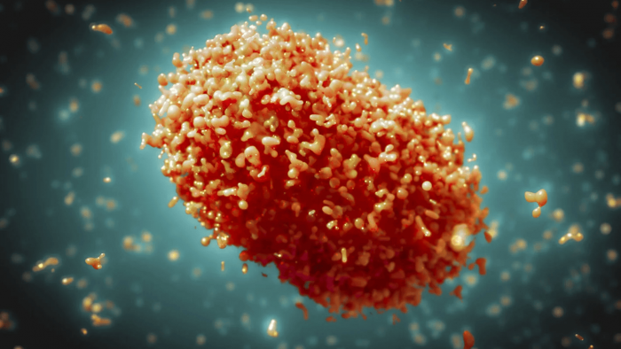 Viruela símica: cuáles son las claves para frenar la propagación del virus