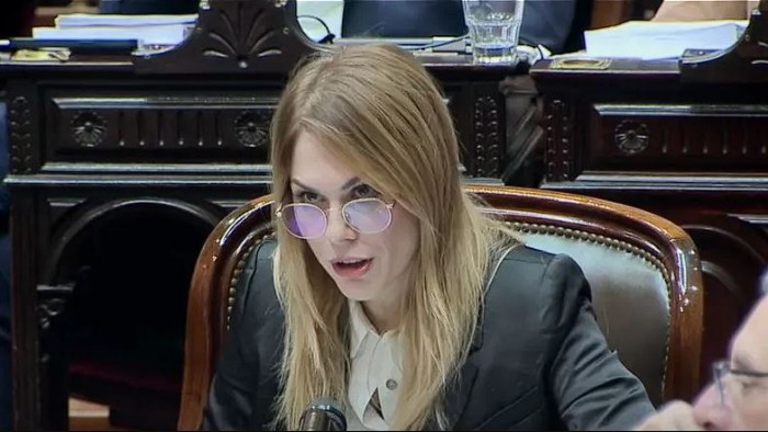 Lemoine reactivó la interna en el Gobierno y apuntó contra Villarruel: "Es la peor vicepresidente de la historia"