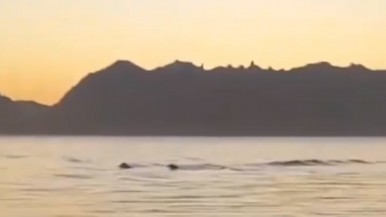 Dos jóvenes grabaron un extraño movimiento en el lago Nahuel Huapi y creen que vieron a "Nahuelito"