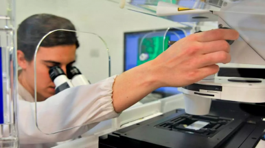 Motosierra a la ciencia: científicos franceses ceden fondos para financiar a sus pares argentinos