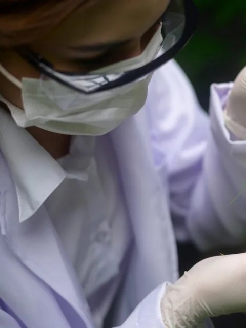 Crisis en la industria del Cannabis: la derogación de una normativa pone en riesgo a 10.000 empleos
