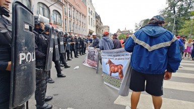 Carreros protestaron frente a Casa de Gobierno contra la prohibición de tracción a sangre