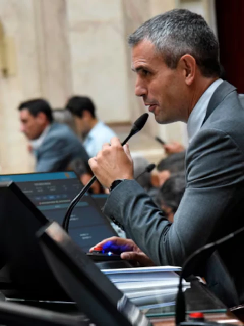 Caso $Libra: Menem oficializó la comisión investigadora
