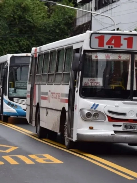 La provincia adquiere 100 colectivos por U$S 17 millones