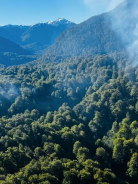 Incendios en el Parque Nahuel Huapi: brigadistas luchan contra el fuego cerca de Bariloche