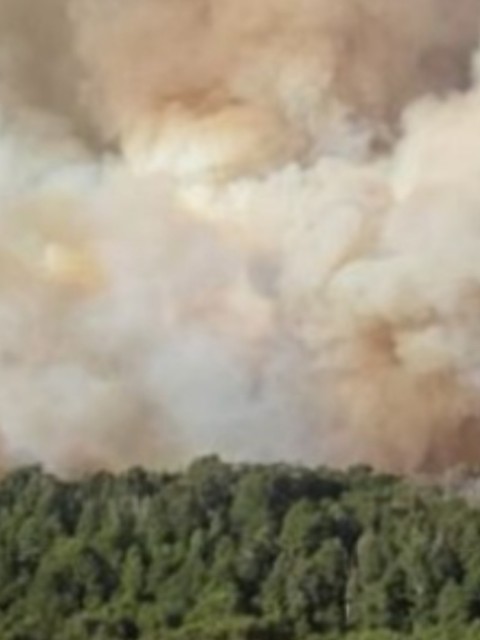 Incendio Nahuel Huapi: más de 1700 hectáreas arrasadas y un fuego fuera de control