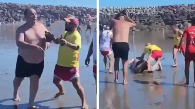 Violencia en Playa Unión: guardavidas se pelearon con un turista y el gobierno decidió desafectarlos