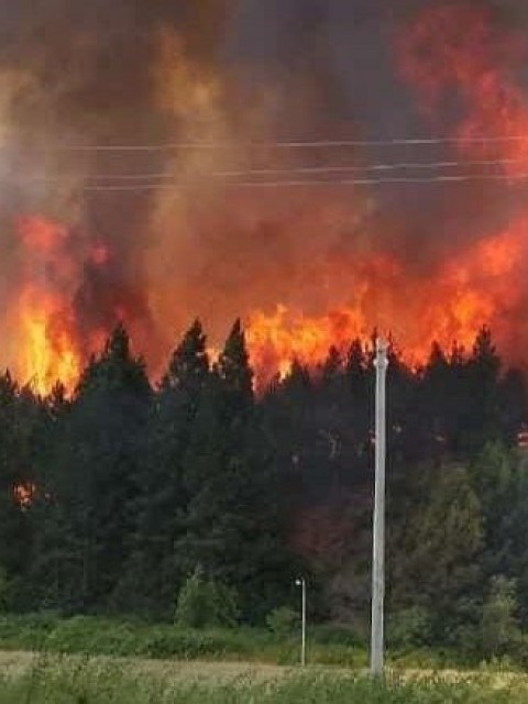 Incendio en Epuyén: Más de 2000 hectáreas quemadas y 200 viviendas evacuadas