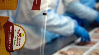 Una de las principales avícolas del país despidió a más de 80 personas y amenaza con más recortes 