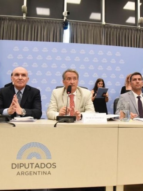 Con el apoyo de los gobernadores, el oficialismo consiguió el dictamen para suspender las PASO