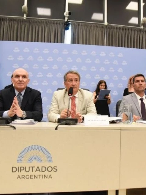 Con el apoyo de los gobernadores, el oficialismo consiguió el dictamen para suspender las PASO