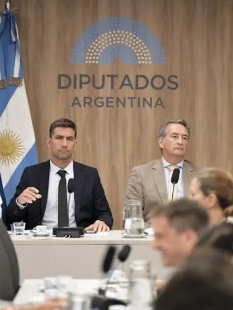 Segunda victoria el Gobierno en 24 horas: Ficha Limpia consiguió dictamen