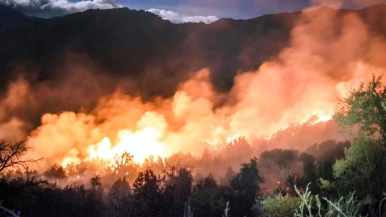 "Se está quemando todo": la desesperación del intendente de El Bolsón por los incendios