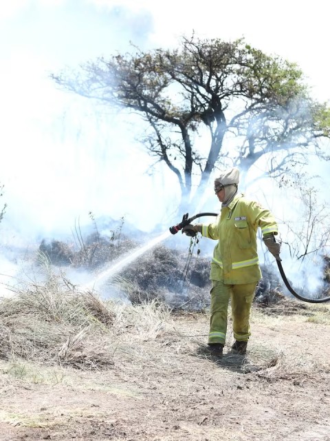 Los incendios en Corrientes amenazan a los cultivos y ganado