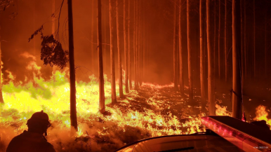 Milei transfirió el Manejo del Fuego a Seguridad en medio de la crisis por incendios