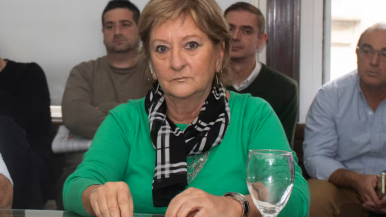 Renunció Ana Lamas, subsecretaria de Ambiente, en plena crisis por incendios forestales