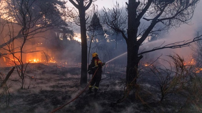 El Gobierno declaró terrorista a una organización mapuche por los incendios en la Patagonia