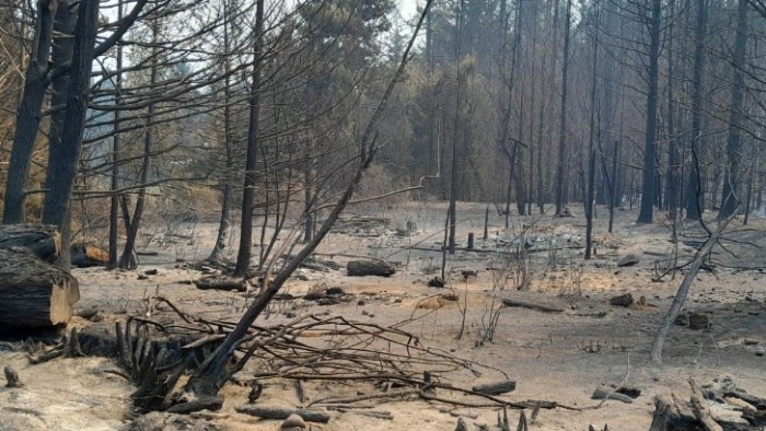 Incendios en el Parque Nacional Lanín, Nahuel Huapi y El Bolsón: avanza el trabajo de los brigadistas 