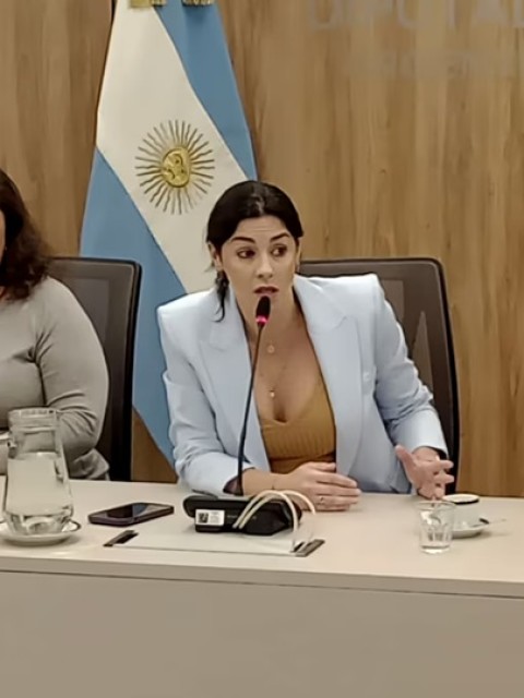 Juicio político a Milei por $Libra: tensiones en el Congreso y dificultades para avanzar