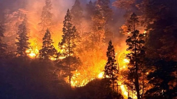 Incendio Nahuel Huapi: los vecinos denunciaron incumplimiento del Gobierno Nacional