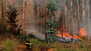 Incendios en la Patagonia: el fuego avanzó hasta el límite con Chile