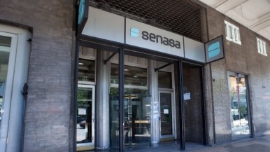Senasa deroga más de 60 resoluciones y disposiciones