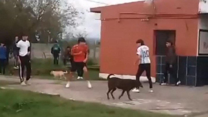 Un adolescente fue agredido con un arma blanca en Acheral