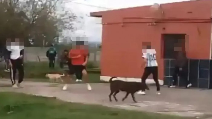 Violencia juvenil: ¿Qué nos muestra la pelea en Acheral?