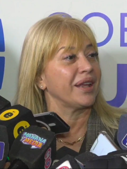 Rossana Chahla: "No hay chicana política, encontramos inconsistencias y las mandamos a investigar"