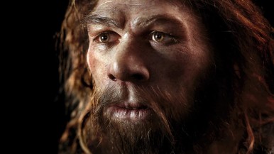 Histórico hallazgo: la huella dactilar más antigua del mundo pertenece a un neandertal que vivió hace 43 mil años