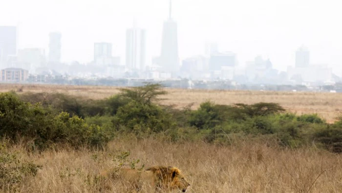 683eec7069af1_700_394!