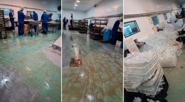 Fentanilo contaminado: cómo Ariel García y HLB Pharma destruyeron pruebas y falsificaron documentos