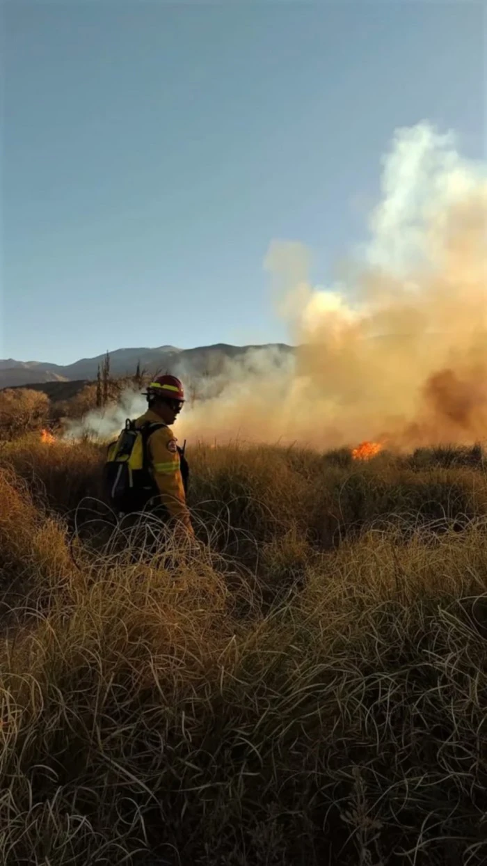 Incendio en Jujuy: casi 300 hectáreas arrasadas y un operativo aéreo para controlar el fuego