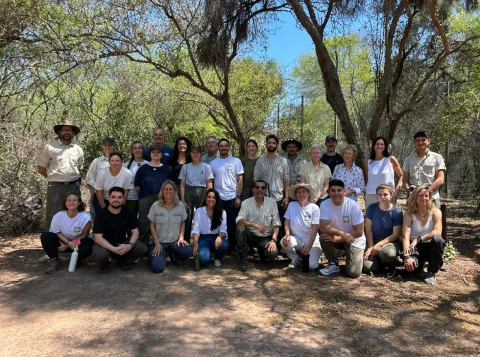 Liberaron a Acaí, la quinta yaguareté hembra en el Parque Nacional El Impenetrable