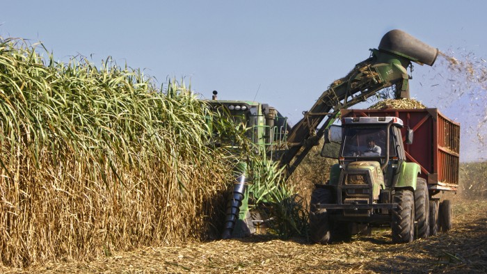 Tucumán produjo casi 38 millones de toneladas de azúcar en un mes 