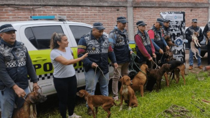 Rescatan 13 perros que eran víctimas de maltrato en Tucumán
