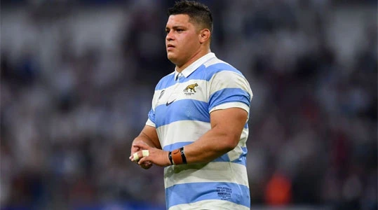 Orgullo tucumano: cuatro "Decanos del Rugby" citados a Los Pumas