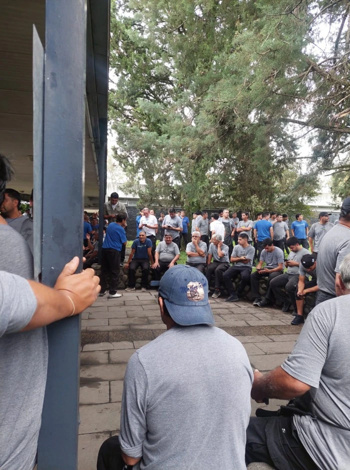 "No se puede creer": alerta, ¿cierran las puertas de Topper en Aguilares?