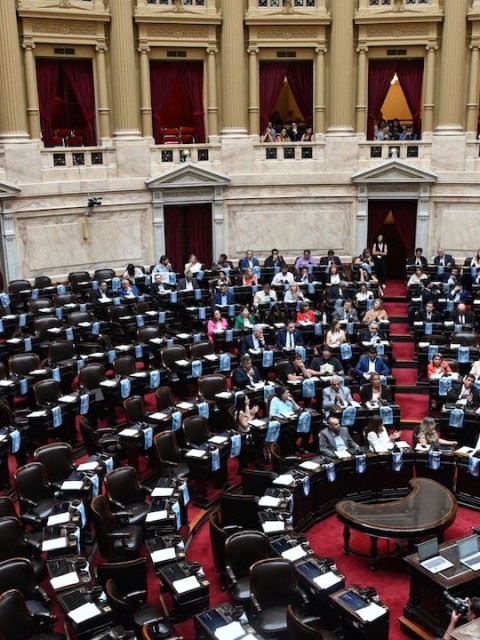 Comienza el debate de la Ley Ómnibus en Diputados: paquete fiscal y reforma tributaria