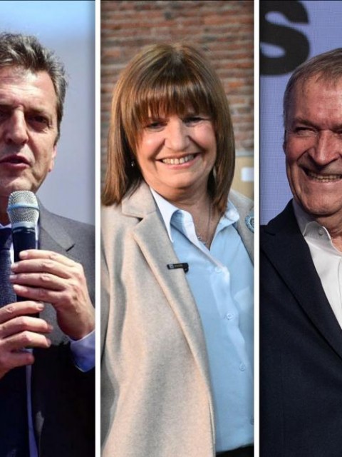 Ingresó a Diputados el proyecto para que los candidatos realicen un psicofísico