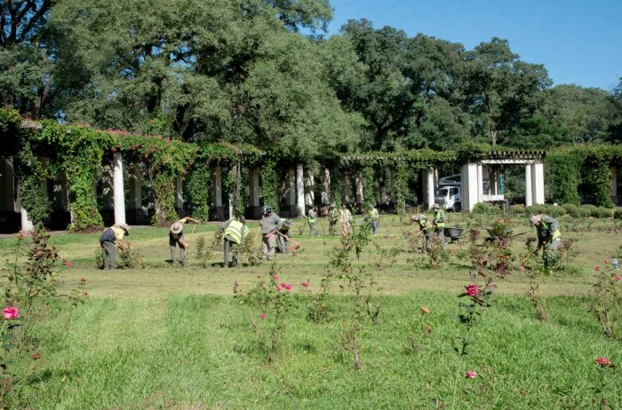 La municipalidad inició la revalorización integral del Rosedal del Parque 9 de Julio