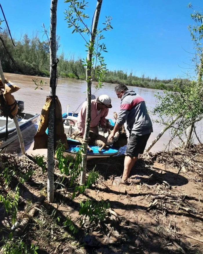 Foto Carlos Rosznercki - vía Facebook