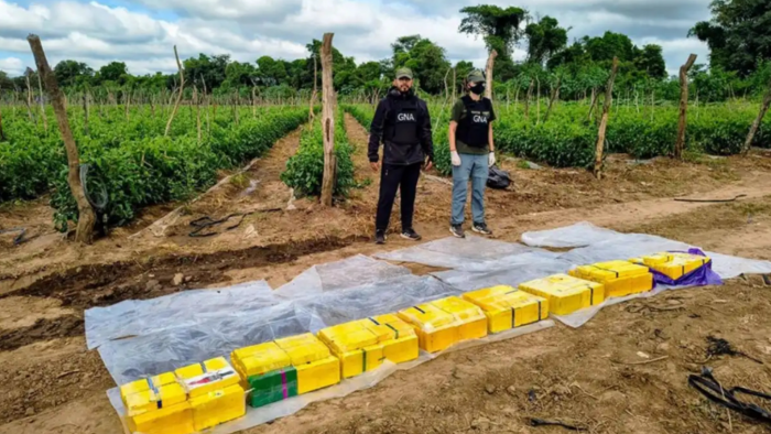 Narcotráfico: Tucumán se consolida como centro de acopio del NOA