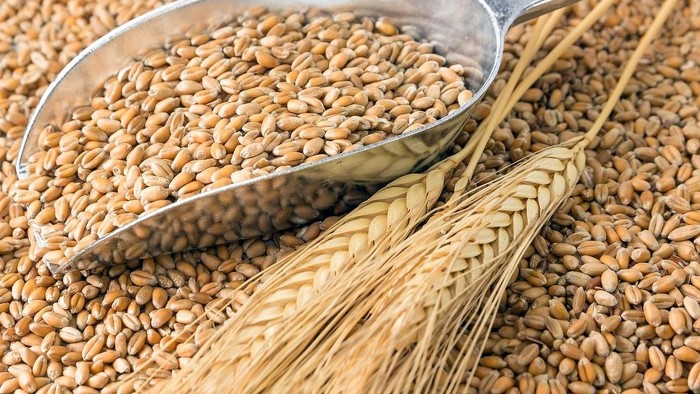 Argentina exportará trigo a China: cuáles son los beneficios